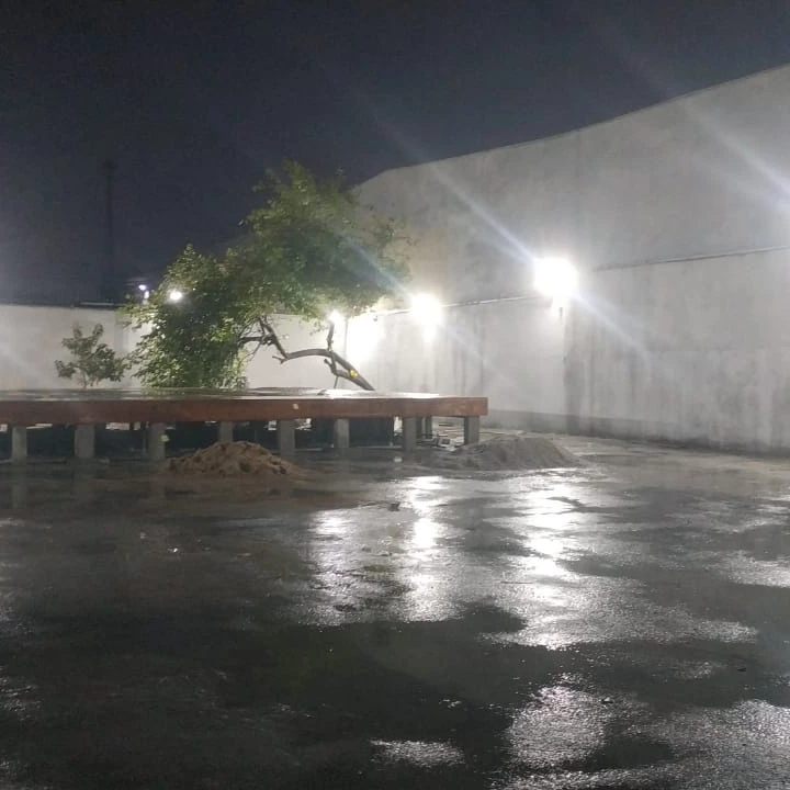 Destaque da Elétrica França Vida